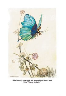 The Fairy Book - Illustrated by Warwick Goble