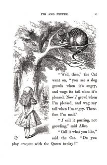 Alice in Wonderland - with John Tenniel illustrations